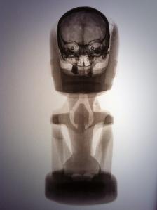 Radiographie d’une figure korwar avec son crâne, Baie de Geelvink, Nouvelle-Guinée occidentale (sous souveraineté indonésienne), vers 1800-1900. H. : 48 cm. © Martin Doustar.